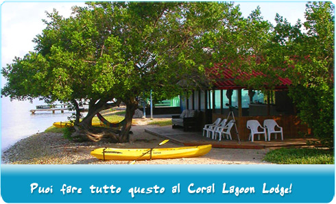 Coral Lagoon Lodge